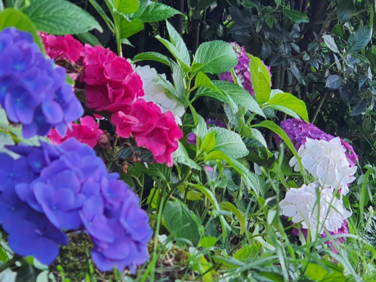 Bed & Breakfast Le Clos Reaud